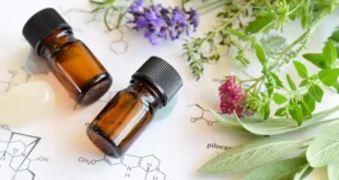 New Search Engine – Which Essential Oil Would You Choose?