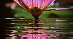 Are You Still Using That Slow, Old Typewriter?